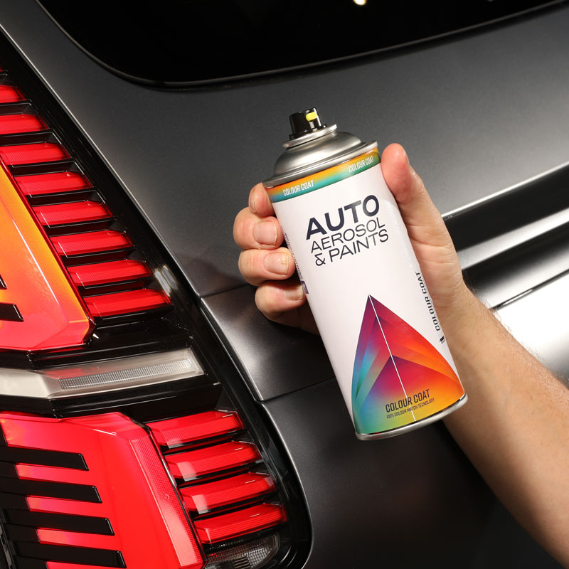 Hand holding Auto Aerosol